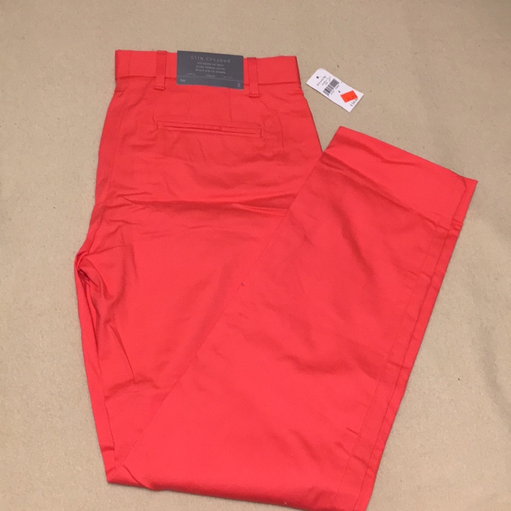 Dressy Pants